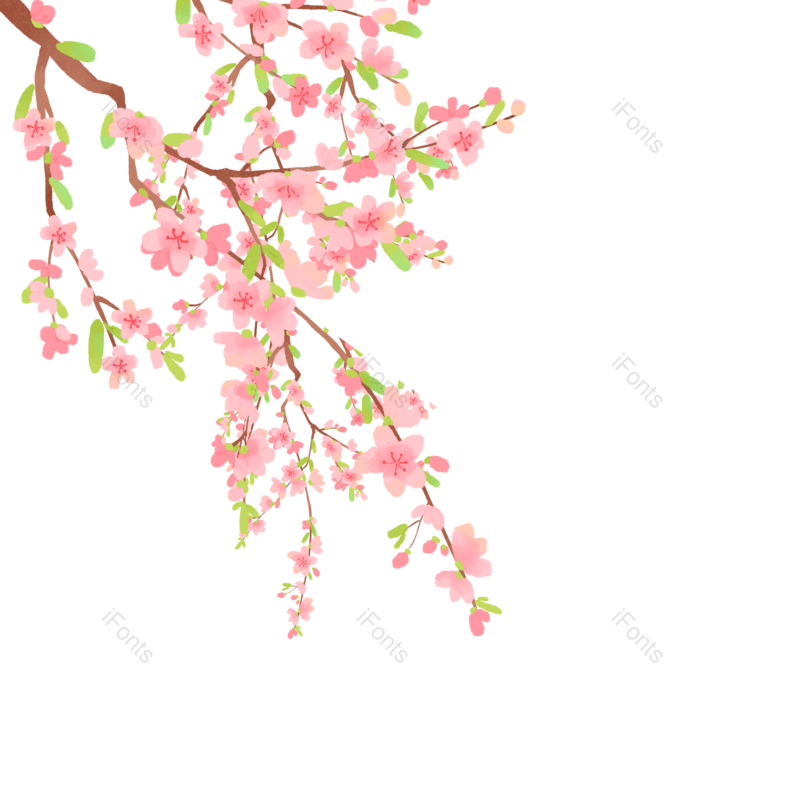 花素材图片,花朵元素,花朵素材PNG,花朵装饰免抠素材